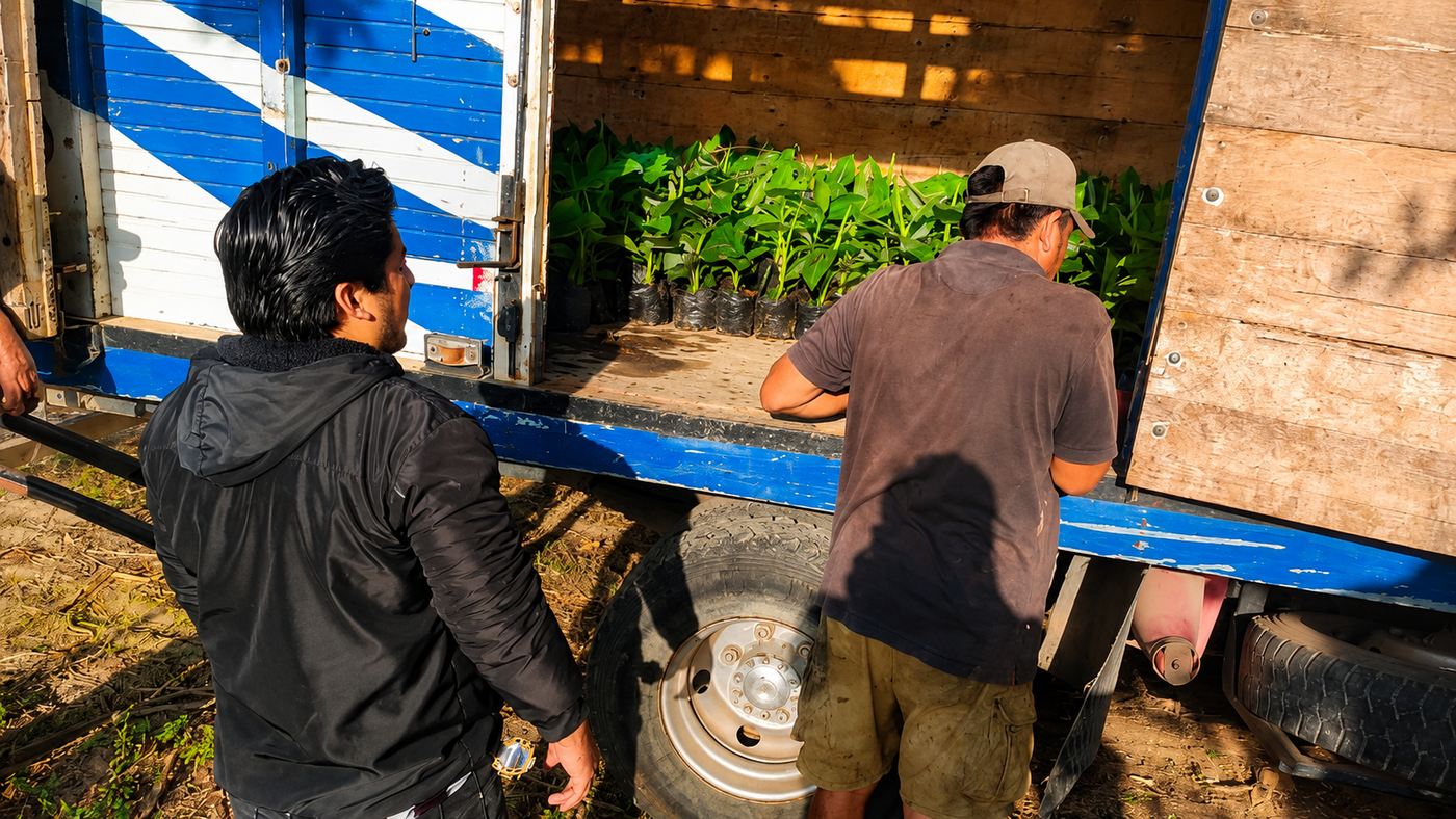 Equipo de productores frente al camión con los plantones