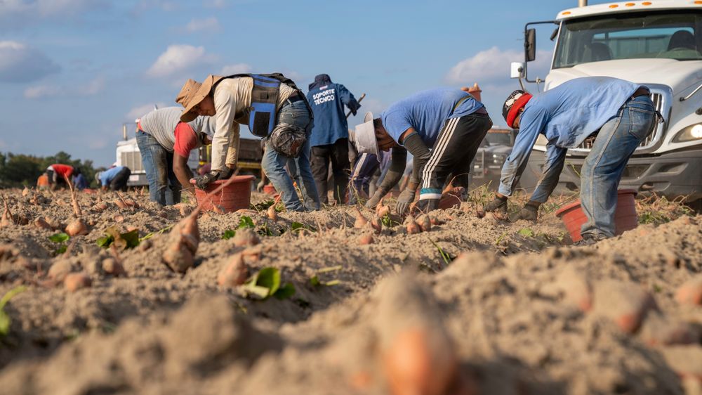 Agroindustria y valor agregado