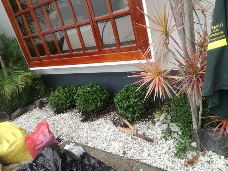Jardín junto a muro con listones de madera