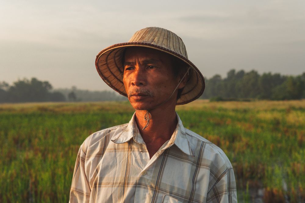 Del campo del productor al mercado