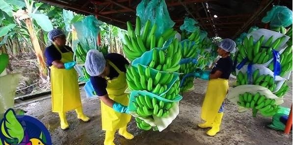 Artesanía